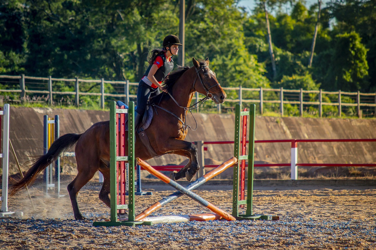 Casco equestre
